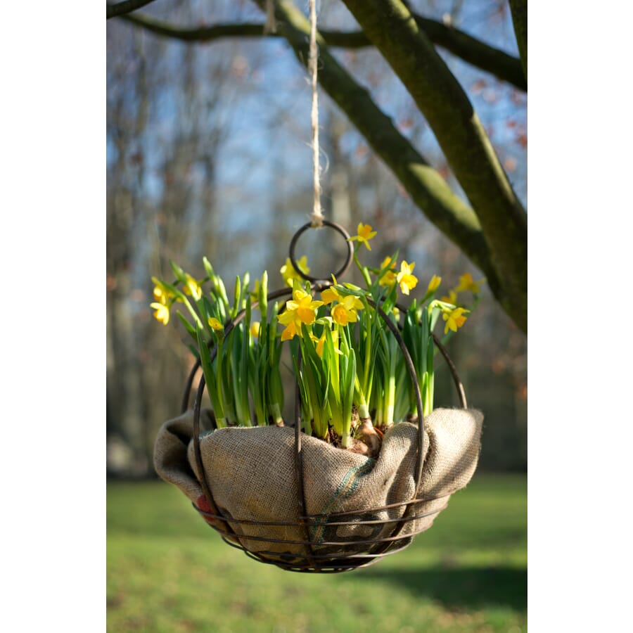 Hanging Metal Pumpkin Basket - Rustic Fall Home Décor