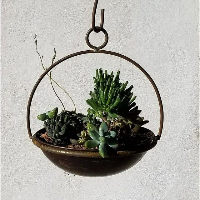 Blue Moon Hanging Planter by Find Your Passage LLC