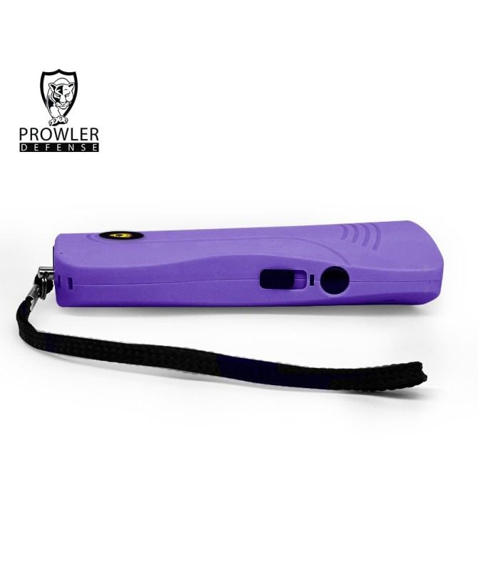 Child Safety Stun Gun - Rechargeable with Safety Disable Pin LED Flashlight